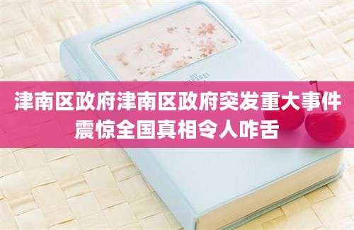 津南区政府津南区政府突发重大事件震惊全国真相令人咋舌