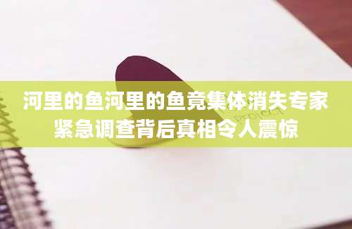 河里的鱼河里的鱼竟集体消失专家紧急调查背后真相令人震惊