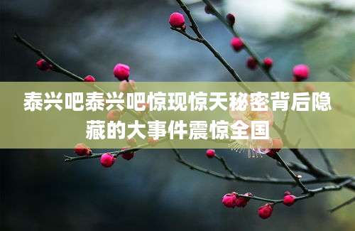 泰兴吧泰兴吧惊现惊天秘密背后隐藏的大事件震惊全国