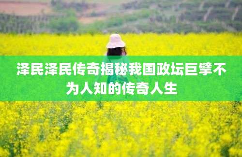 泽民泽民传奇揭秘我国政坛巨擘不为人知的传奇人生