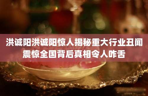 洪诚阳洪诚阳惊人揭秘重大行业丑闻震惊全国背后真相令人咋舌