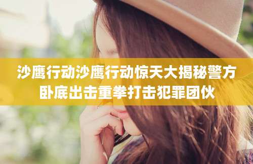沙鹰行动沙鹰行动惊天大揭秘警方卧底出击重拳打击犯罪团伙