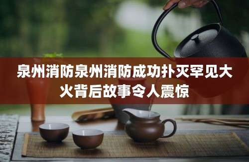 泉州消防泉州消防成功扑灭罕见大火背后故事令人震惊