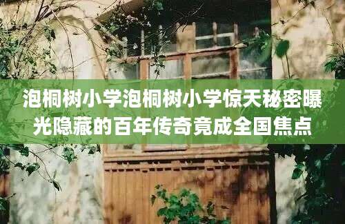 泡桐树小学泡桐树小学惊天秘密曝光隐藏的百年传奇竟成全国焦点