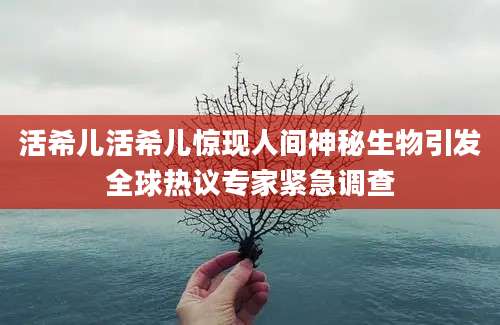 活希儿活希儿惊现人间神秘生物引发全球热议专家紧急调查