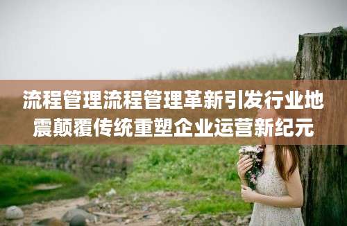 流程管理流程管理革新引发行业地震颠覆传统重塑企业运营新纪元