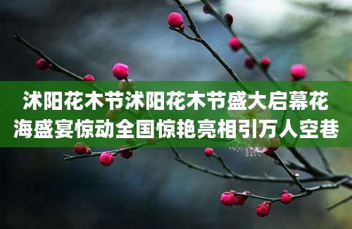 沭阳花木节沭阳花木节盛大启幕花海盛宴惊动全国惊艳亮相引万人空巷