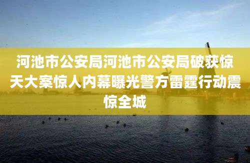 河池市公安局河池市公安局破获惊天大案惊人内幕曝光警方雷霆行动震惊全城