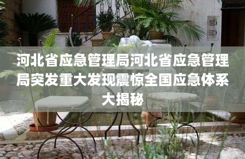 河北省应急管理局河北省应急管理局突发重大发现震惊全国应急体系大揭秘