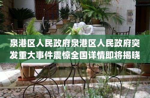 泉港区人民政府泉港区人民政府突发重大事件震惊全国详情即将揭晓