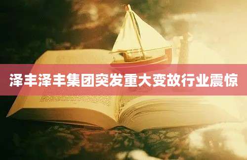 泽丰泽丰集团突发重大变故行业震惊