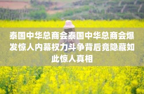 泰国中华总商会泰国中华总商会爆发惊人内幕权力斗争背后竟隐藏如此惊人真相
