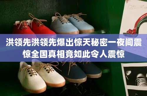 洪领先洪领先爆出惊天秘密一夜间震惊全国真相竟如此令人震惊