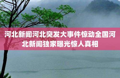 河北新闻河北突发大事件惊动全国河北新闻独家曝光惊人真相