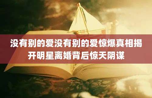 没有别的爱没有别的爱惊爆真相揭开明星离婚背后惊天阴谋