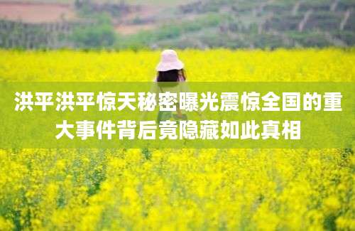 洪平洪平惊天秘密曝光震惊全国的重大事件背后竟隐藏如此真相