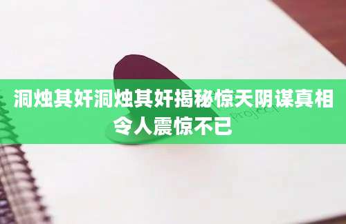 洞烛其奸洞烛其奸揭秘惊天阴谋真相令人震惊不已