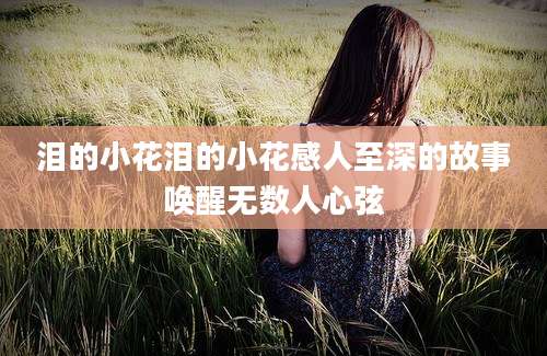 泪的小花泪的小花感人至深的故事唤醒无数人心弦
