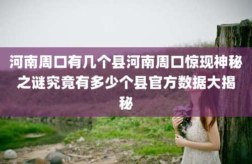 河南周口有几个县河南周口惊现神秘之谜究竟有多少个县官方数据大揭秘