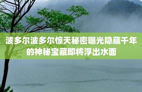 波多尔波多尔惊天秘密曝光隐藏千年的神秘宝藏即将浮出水面