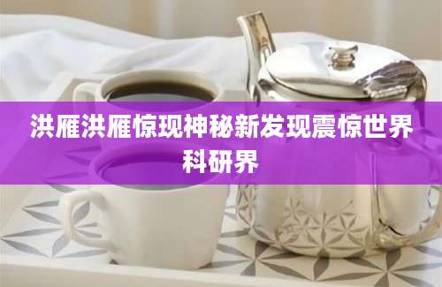 洪雁洪雁惊现神秘新发现震惊世界科研界