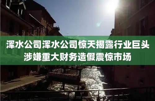 浑水公司浑水公司惊天揭露行业巨头涉嫌重大财务造假震惊市场