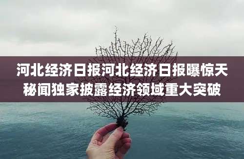 河北经济日报河北经济日报曝惊天秘闻独家披露经济领域重大突破