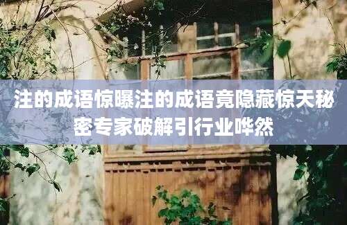 注的成语惊曝注的成语竟隐藏惊天秘密专家破解引行业哗然