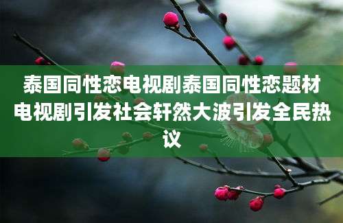 泰国同性恋电视剧泰国同性恋题材电视剧引发社会轩然大波引发全民热议