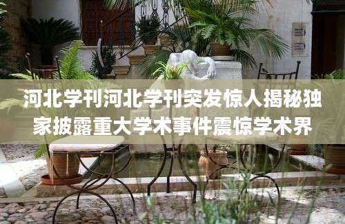 河北学刊河北学刊突发惊人揭秘独家披露重大学术事件震惊学术界