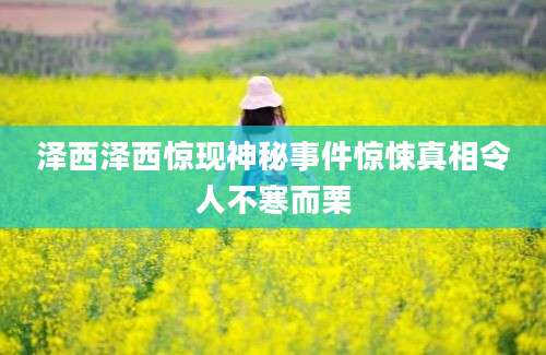 泽西泽西惊现神秘事件惊悚真相令人不寒而栗