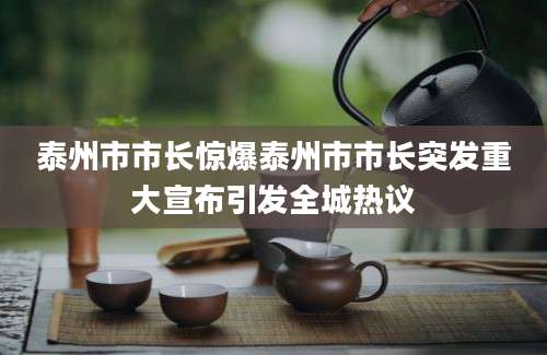 泰州市市长惊爆泰州市市长突发重大宣布引发全城热议