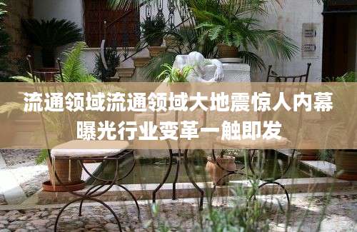流通领域流通领域大地震惊人内幕曝光行业变革一触即发