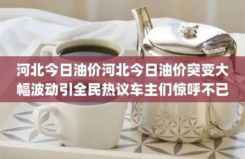 河北今日油价河北今日油价突变大幅波动引全民热议车主们惊呼不已