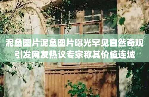 泥鱼图片泥鱼图片曝光罕见自然奇观引发网友热议专家称其价值连城