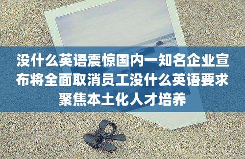 没什么英语震惊国内一知名企业宣布将全面取消员工没什么英语要求聚焦本土化人才培养