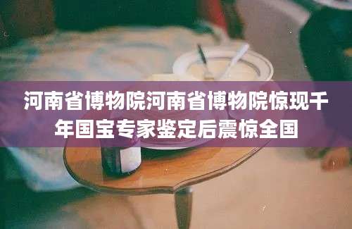 河南省博物院河南省博物院惊现千年国宝专家鉴定后震惊全国
