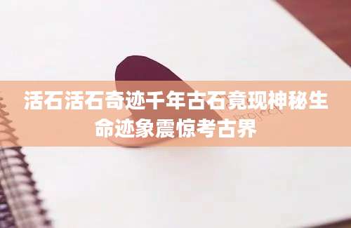 活石活石奇迹千年古石竟现神秘生命迹象震惊考古界