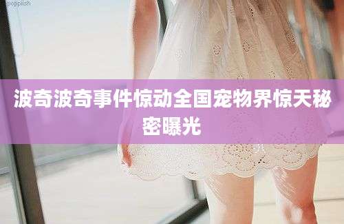 波奇波奇事件惊动全国宠物界惊天秘密曝光