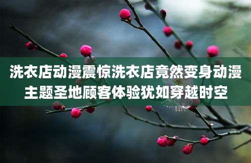 洗衣店动漫震惊洗衣店竟然变身动漫主题圣地顾客体验犹如穿越时空