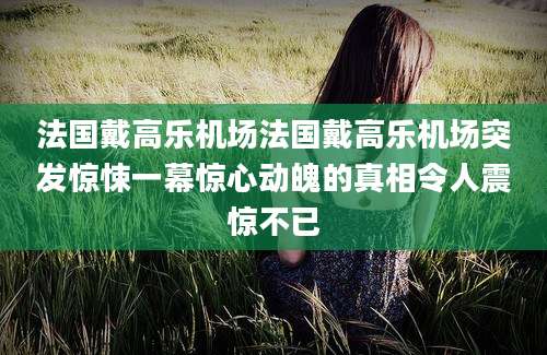 法国戴高乐机场法国戴高乐机场突发惊悚一幕惊心动魄的真相令人震惊不已