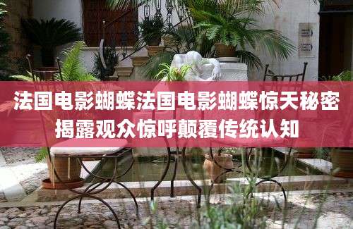 法国电影蝴蝶法国电影蝴蝶惊天秘密揭露观众惊呼颠覆传统认知