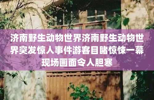 济南野生动物世界济南野生动物世界突发惊人事件游客目睹惊悚一幕现场画面令人胆寒