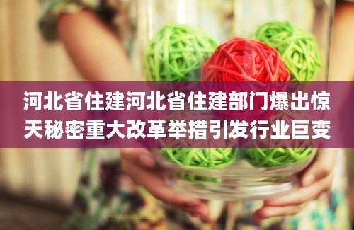 河北省住建河北省住建部门爆出惊天秘密重大改革举措引发行业巨变