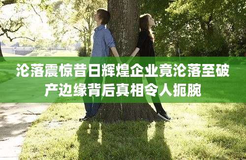 沦落震惊昔日辉煌企业竟沦落至破产边缘背后真相令人扼腕