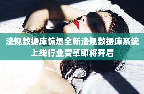 法规数据库惊爆全新法规数据库系统上线行业变革即将开启
