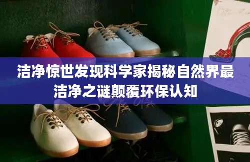 洁净惊世发现科学家揭秘自然界最洁净之谜颠覆环保认知