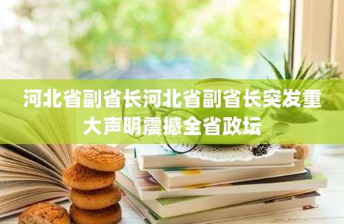 河北省副省长河北省副省长突发重大声明震撼全省政坛