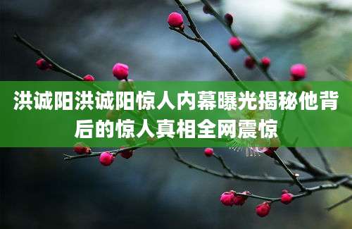 洪诚阳洪诚阳惊人内幕曝光揭秘他背后的惊人真相全网震惊
