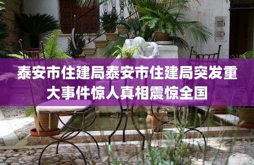 泰安市住建局泰安市住建局突发重大事件惊人真相震惊全国